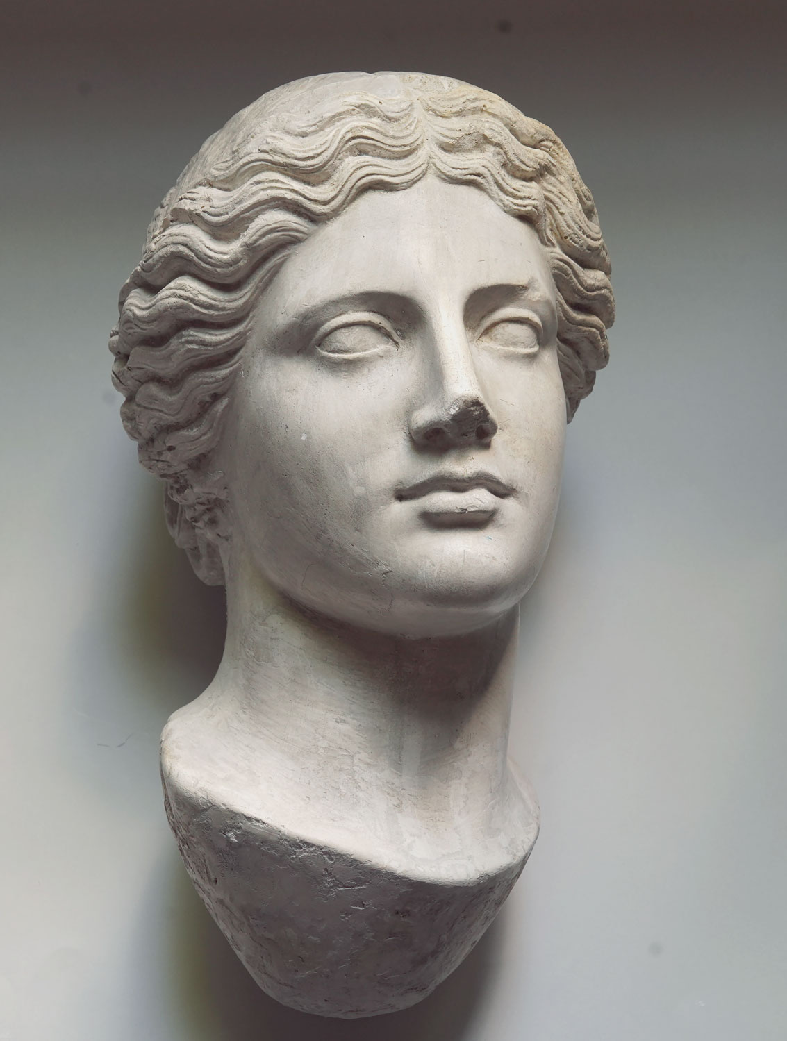 Glava carice Livije (?)